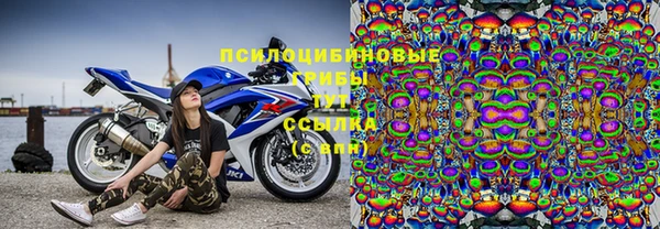 каннабис Корсаков