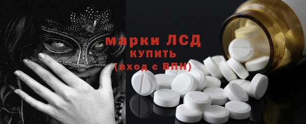 ГАЛЛЮЦИНОГЕННЫЕ ГРИБЫ Валдай
