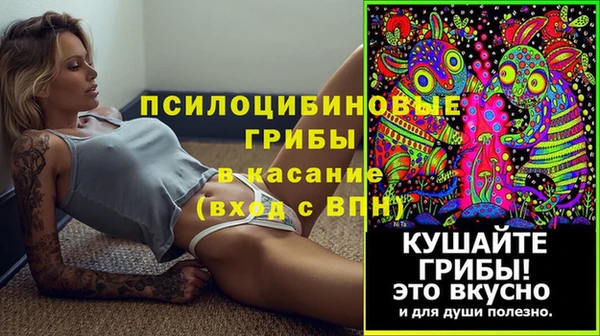 герыч Кинешма