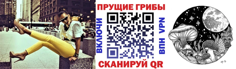 Галлюциногенные грибы Psilocybe  сайты даркнета клад  Кинешма 