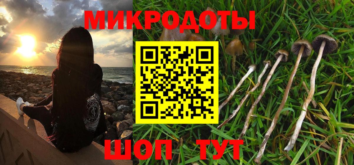 Кинешма  Галлюциногенные грибы MAGIC MUSHROOMS  Вход с VPN 