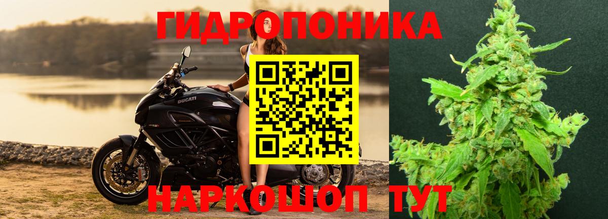 МАРИХУАНА LSD WEED  Бошки Шишки планчик  Вход с VPN  Кинешма  Конопля тримм 